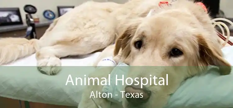 Animal Hospital Alton - Texas