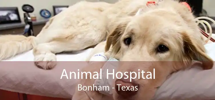 Animal Hospital Bonham - Texas