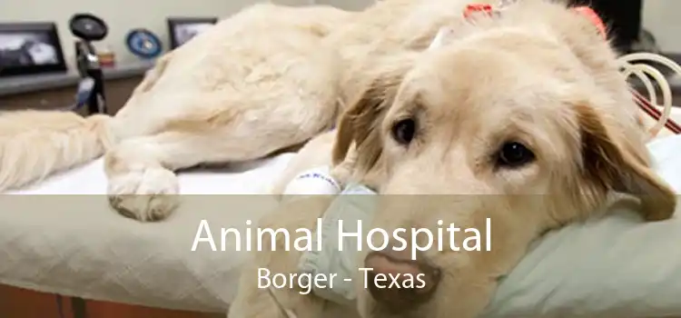 Animal Hospital Borger - Texas
