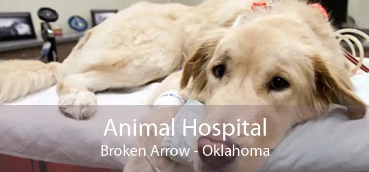 Animal Hospital Broken Arrow - Oklahoma