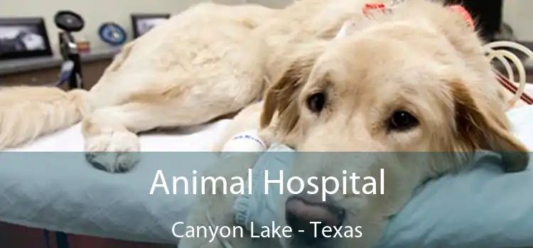 Animal Hospital Canyon Lake - Texas