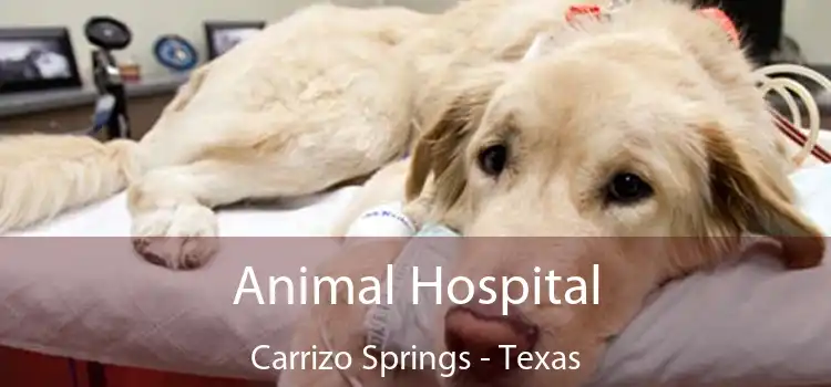 Animal Hospital Carrizo Springs - Texas