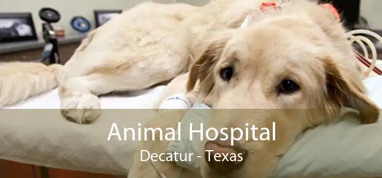 Animal Hospital Decatur - Texas