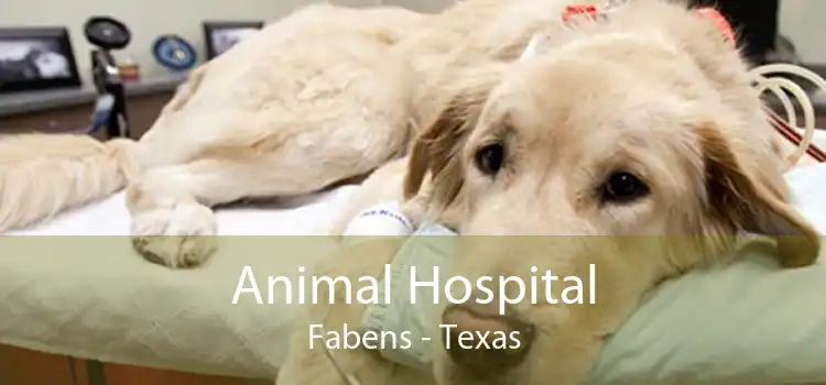 Animal Hospital Fabens - Texas
