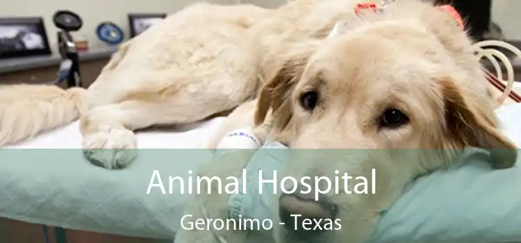 Animal Hospital Geronimo - Texas