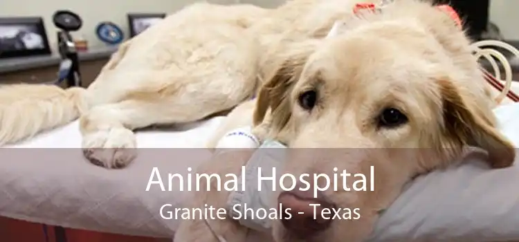 Animal Hospital Granite Shoals - Texas