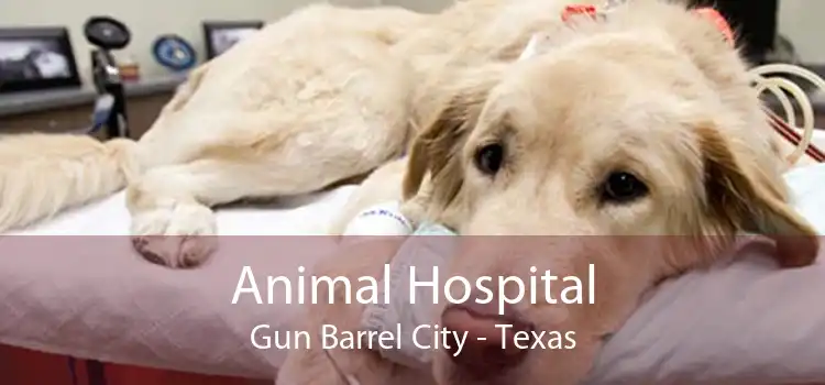 Animal Hospital Gun Barrel City - Texas