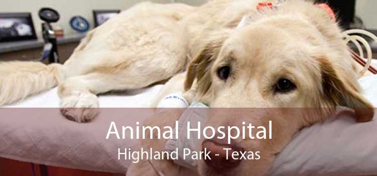 Animal Hospital Highland Park - Texas