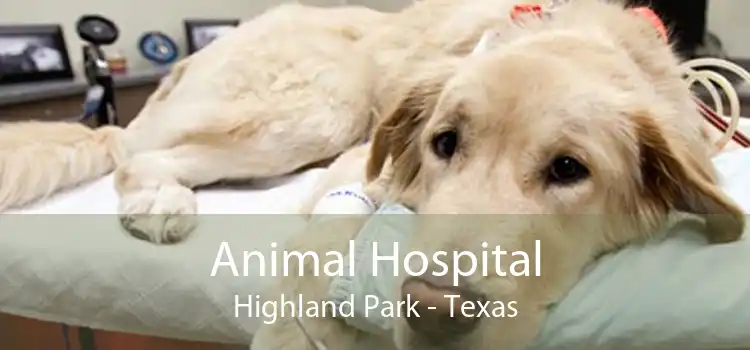 Animal Hospital Highland Park - Texas