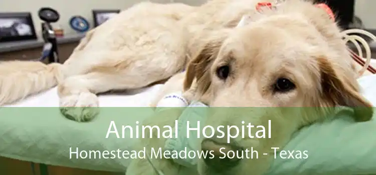 Animal Hospital Homestead Meadows South - Texas
