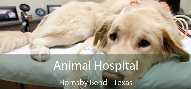 Animal Hospital Hornsby Bend - Texas