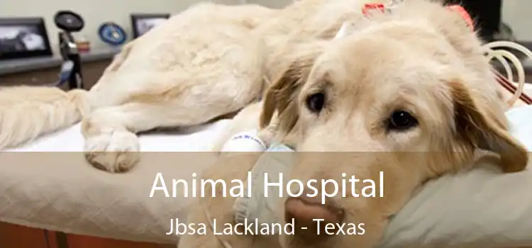 Animal Hospital Jbsa Lackland - Texas