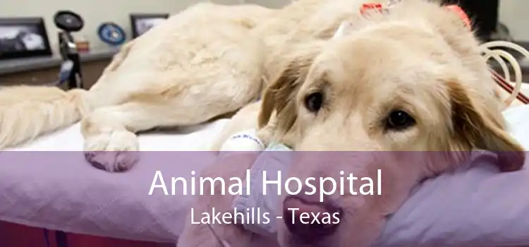 Animal Hospital Lakehills - Texas