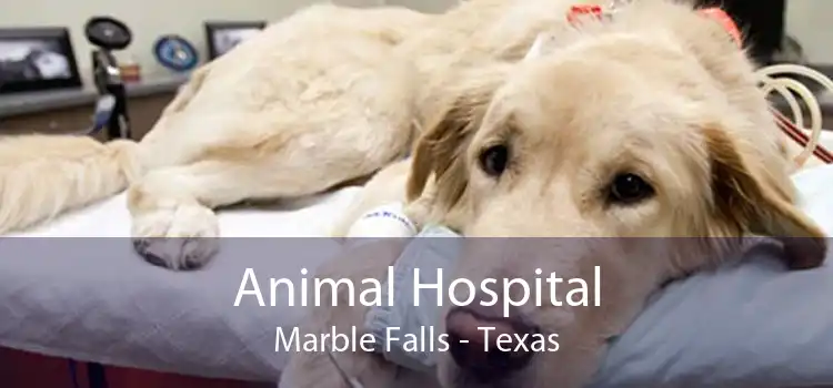 Animal Hospital Marble Falls - Texas