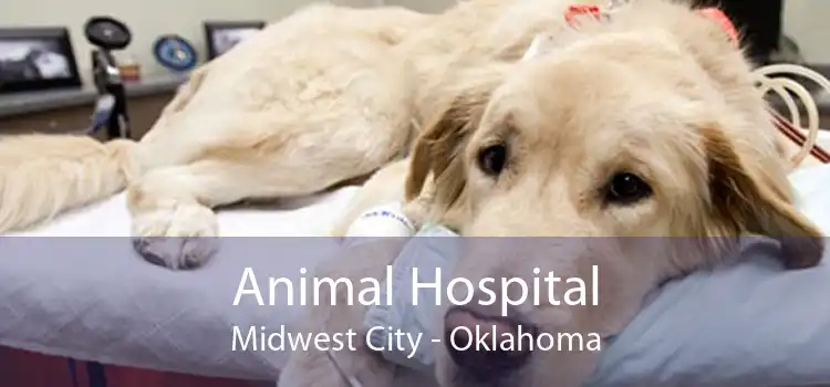 Animal Hospital Midwest City - Oklahoma