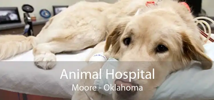 Animal Hospital Moore - Oklahoma