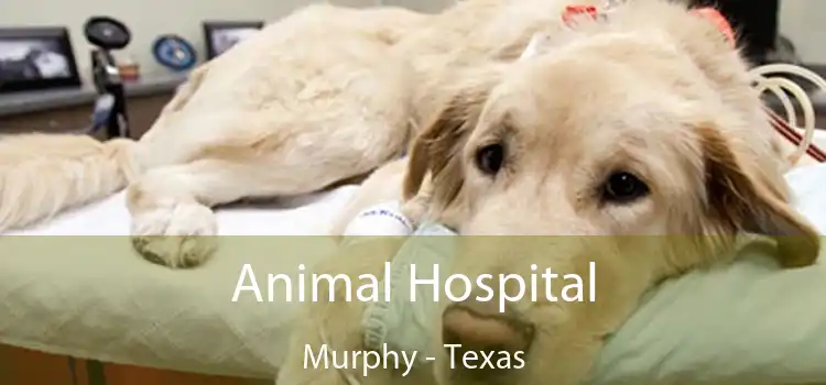 Animal Hospital Murphy - Texas