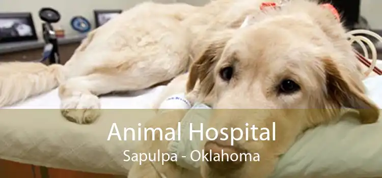 Animal Hospital Sapulpa - Oklahoma