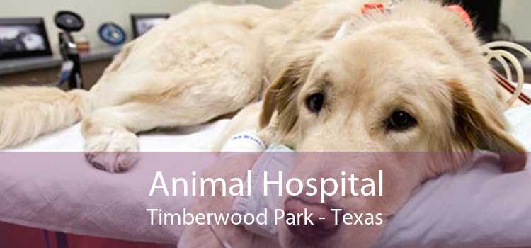 Animal Hospital Timberwood Park - Texas