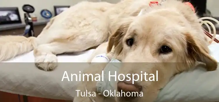 Animal Hospital Tulsa - Oklahoma