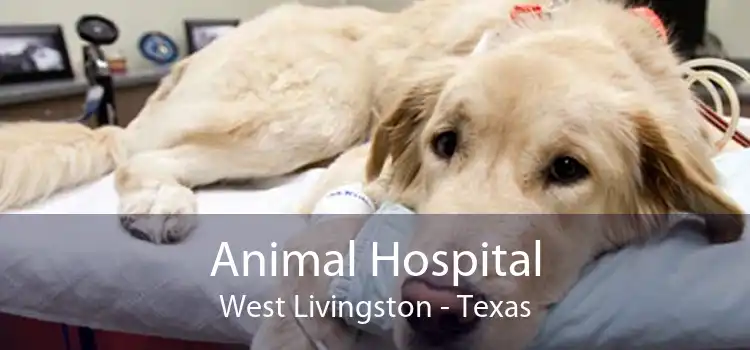 Animal Hospital West Livingston - Texas