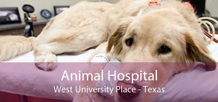 Animal Hospital West University Place - Texas