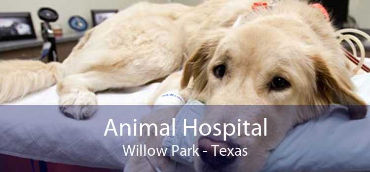 Animal Hospital Willow Park - Texas