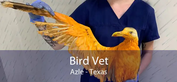 Bird Vet Azle - Texas