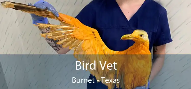 Bird Vet Burnet - Texas