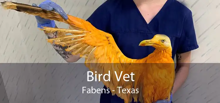 Bird Vet Fabens - Texas