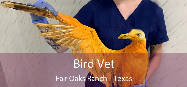 Bird Vet Fair Oaks Ranch - Texas