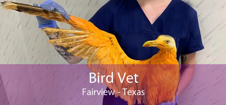 Bird Vet Fairview - Texas