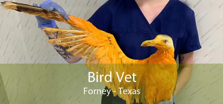 Bird Vet Forney - Texas