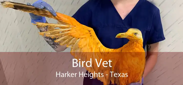 Bird Vet Harker Heights - Texas