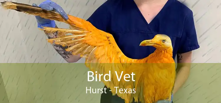 Bird Vet Hurst - Texas