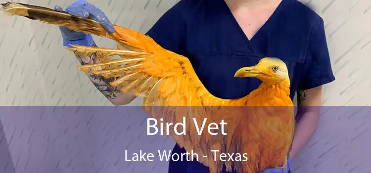 Bird Vet Lake Worth - Texas