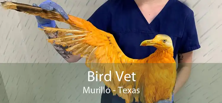 Bird Vet Murillo - Texas