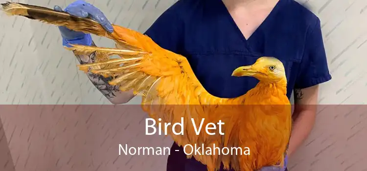 Bird Vet Norman - Oklahoma