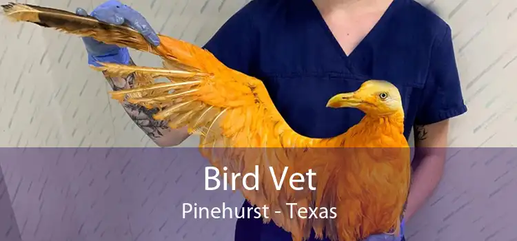 Bird Vet Pinehurst - Texas