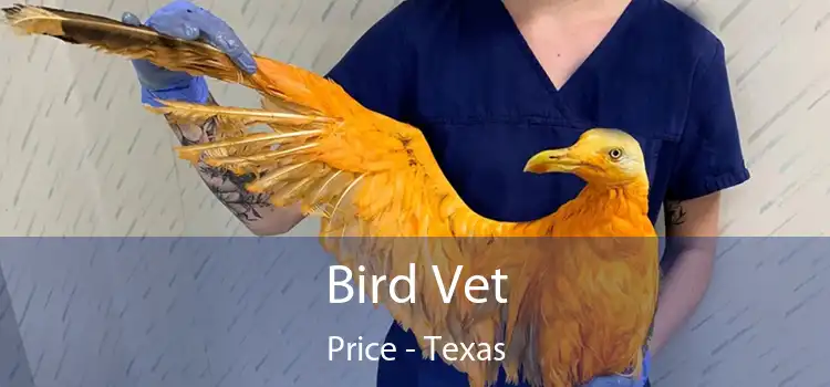 Bird Vet Price - Texas