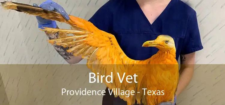 Bird Vet Providence Village - Texas