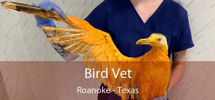 Bird Vet Roanoke - Texas