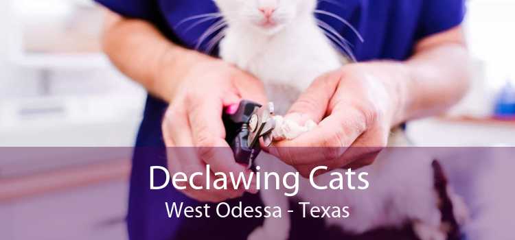 declawing cats west odessa