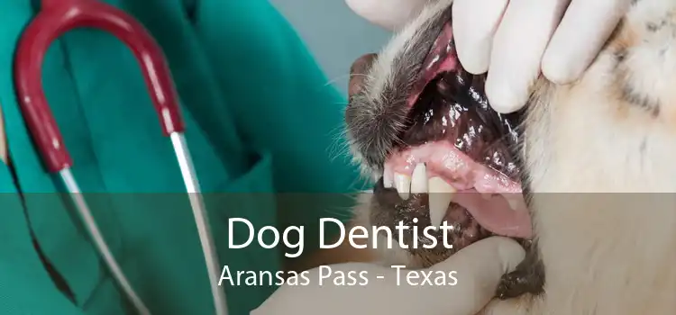 Dog Dentist Aransas Pass - Texas