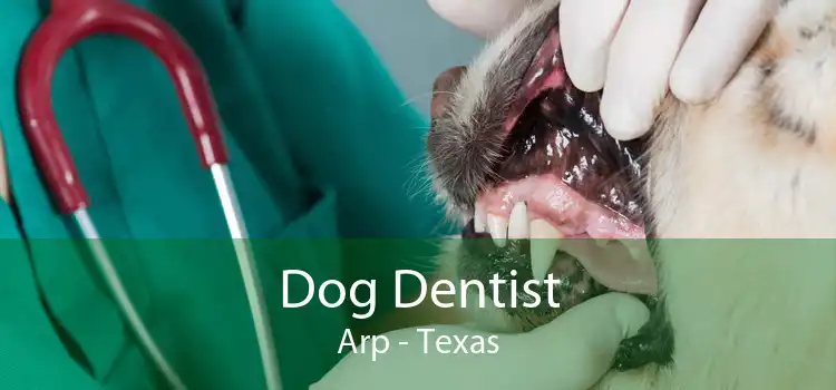 Dog Dentist Arp - Texas