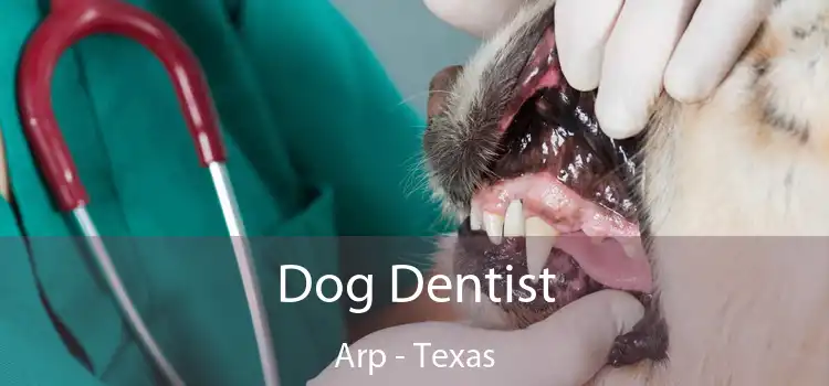 Dog Dentist Arp - Texas