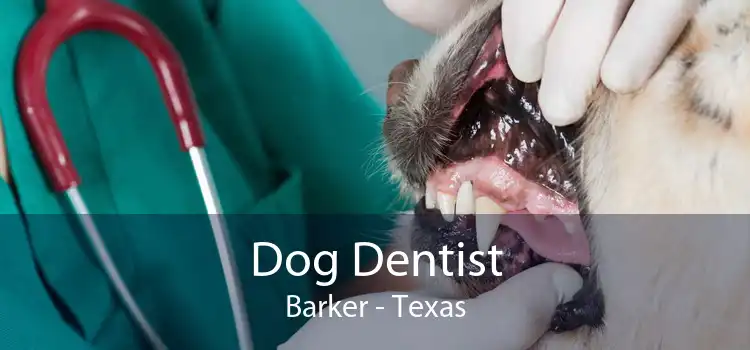 Dog Dentist Barker - Texas
