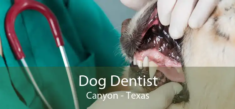 Dog Dentist Canyon - Texas