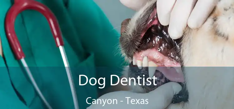 Dog Dentist Canyon - Texas