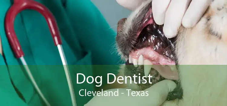 Dog Dentist Cleveland - Texas